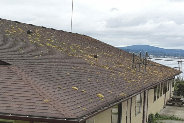 Campbell River Roof Cleaning Peak Window Cleaning Cape Mudge Before